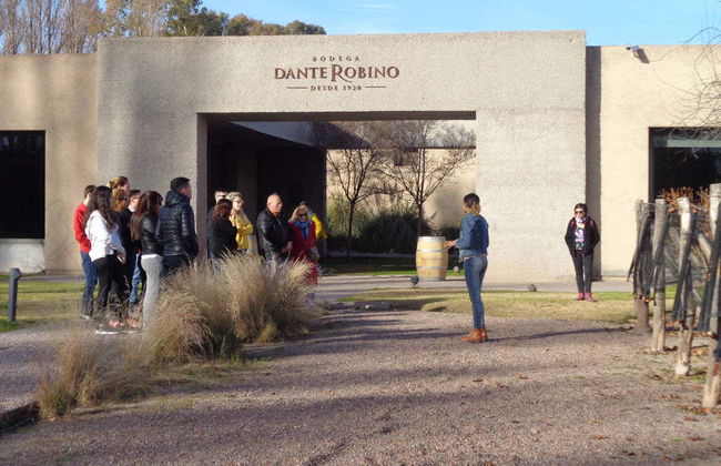 Wine Tasting and Winery Tour - Foto 2