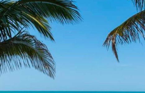 Blue Paradise - Foto 21