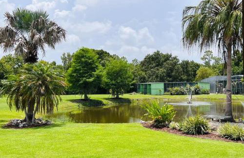 Tropical getaway Pool and tiki bar - Photo 16