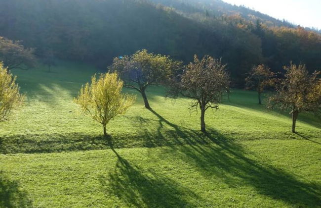 Hideaway Near Black Forest - Foto 34