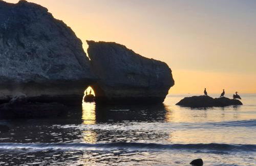 Casitamar frontline beach house rental Casares Costa near Estepona - Photo 52