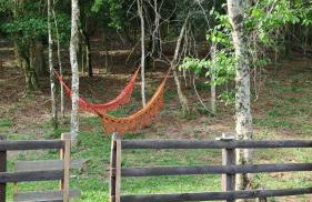 Chalés do Mato Dentro - Photo 48