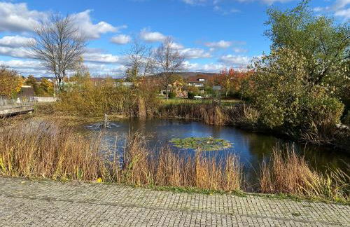 Modern habitable gallery, centrally located in Hirschaid - Foto 30