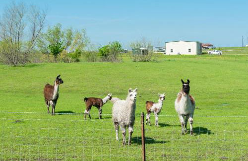 Silo House At Laughing Llama Farm - Foto 23