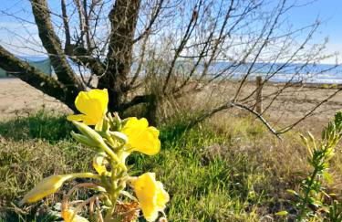 Villa Trifoglio - Foto 41