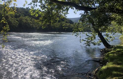 Barney's Retreat- Rustic cabin on the river! - Foto 16