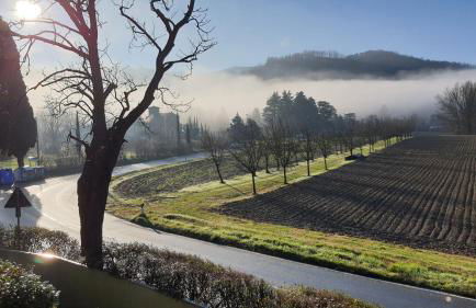Elena Paternoster - Foto 6