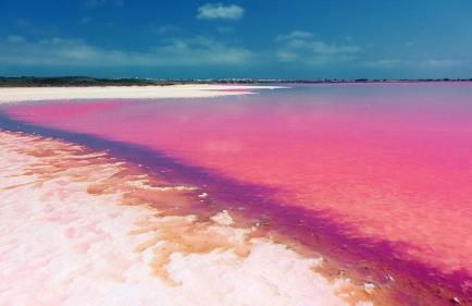 Family Home 5 pers con vista al Mar en Ciudad Quesada - Foto 20