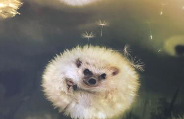 Félix Le Renfrogné Aubagne-Cassis-Aix en Provence - Foto 1