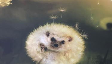 Félix Le Renfrogné Aubagne-Cassis-Aix en Provence - Foto 1