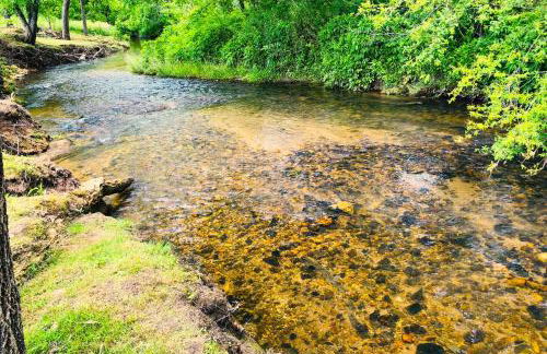 Lil Yellowstone - Foto 61