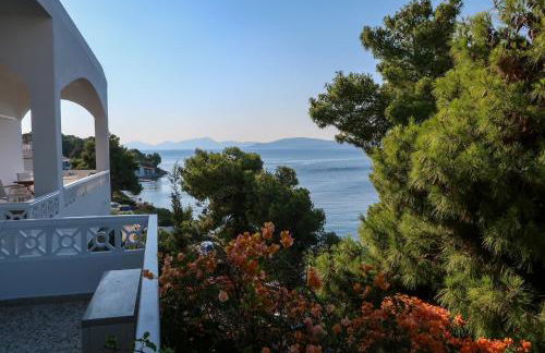 Grand Bleu Apartments & Villas - Photo 10