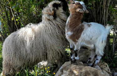 Le Mas de Scott - Foto 14