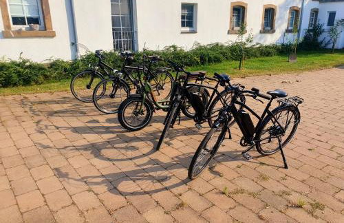 Große Bauernhaus Ferienwohnungen bis 100qm mit E-Bike-Verleih - Foto 32