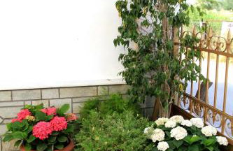 Hotel Stella - Photo 41