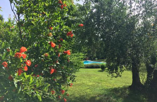 Podere Casanova di Lisa - Foto 70