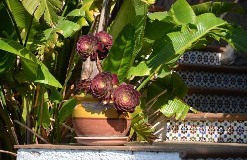 Sea view, Wonderful pool, Nature, Peaceful & AC - Foto 74