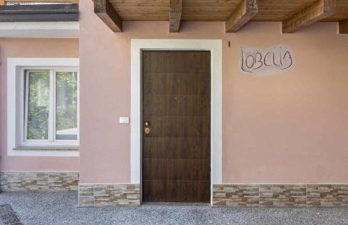 Agritur Horizon - Foto 18