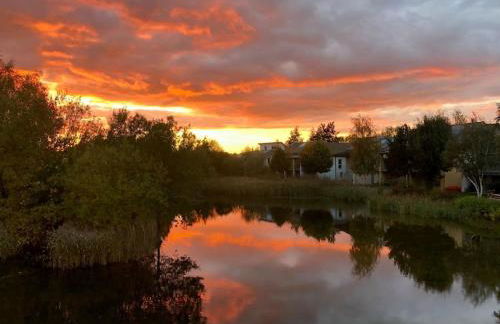 Hoopoe Cottage, Lower Mill Estate - Foto 26