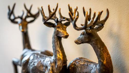 Dell Cottage - Foto 2