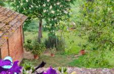 L'oca Nera - Foto 40