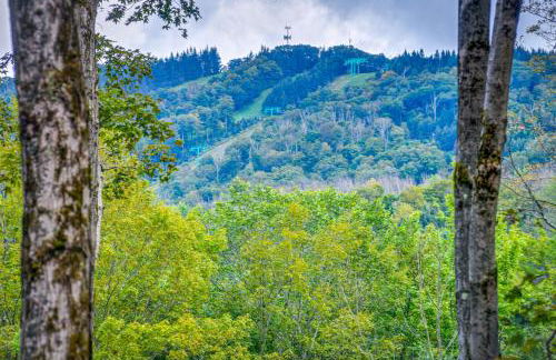 2 Mi to Elk Mountain Secluded Union Dale Home! - Foto 27