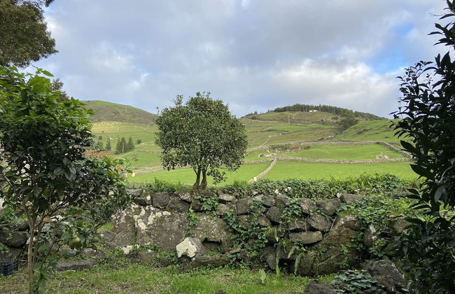 Franco da Serra Country House - Photo 60