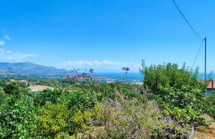 Il Limoneto di Leo - Foto 36