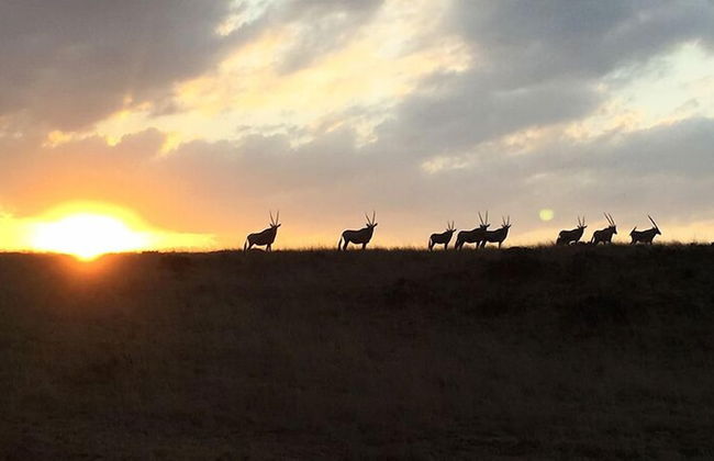 Francolin Creek - Foto 31