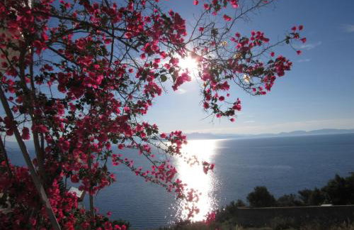 Kallisto studios - Foto 19