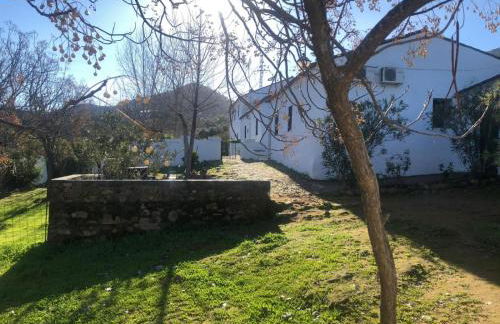 Finca La Vicaria AGUADULCE - Foto 31