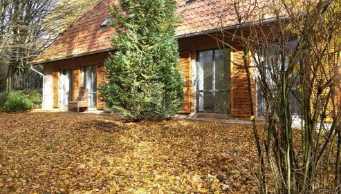 Im Buchenwäldchen - ruhig gelegenes Haus in der Natur für bis zu 12 Personen - Foto 3, Garden