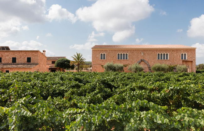 Visitar Bodegas Angel com Degustação de Vinhos - Foto 7