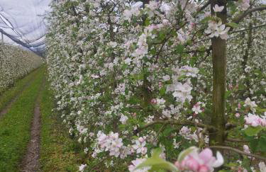 Agriturismo il meleto - Foto 18
