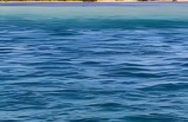 Casa privativa c/5 suites, piscina e churrasqueira - Foto 17