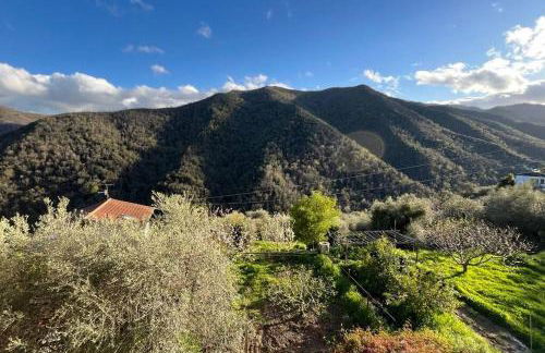 [AC & Garden] Olive Grove Oasis - Foto 16