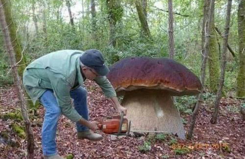 u Ewy apartament z balkonem dla 3 osób 2pokojesamodzielne zameldowanie, kody w wiadomości przed przyjazdem - Foto 20