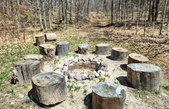 EXPLORE Munising Alger Falls - Photo 25