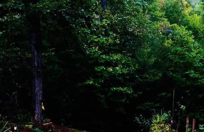 Mountain of Dreams At Lavista Cove - Foto 17