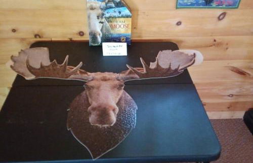 Sunrise Views Cabin with King Bed, Bar & Game Room - Foto 42