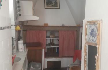 Fico d'india - Foto 12