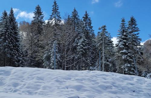 Le ruisseau du Bâmont - Foto 14