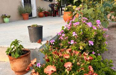 Ambelos, Lesvos Beach House - Foto 4