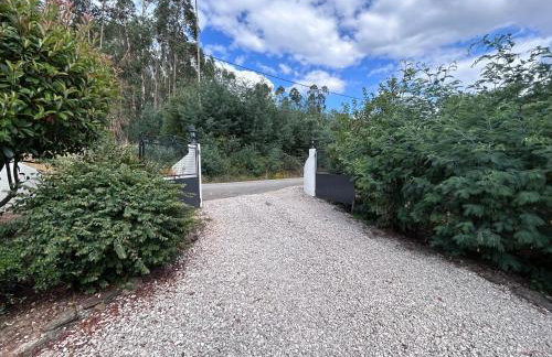 Quinta Inge - Foto 25