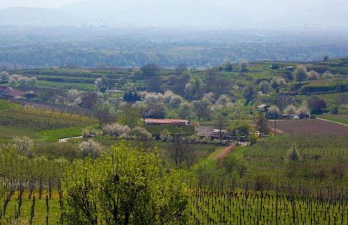 Ferienwohnung Schambachhof - Foto 29