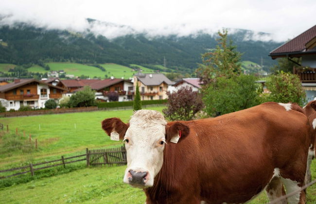 Apartment in Altenmarkt in Pongau Near ski Area - Foto 21