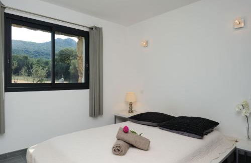 Clos Simoni - Foto 10