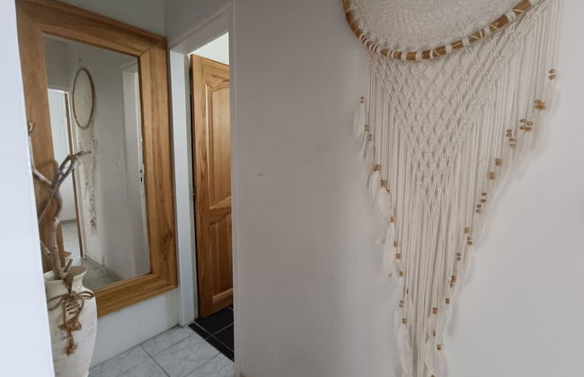 CLEMARA EVASION - Photo 43