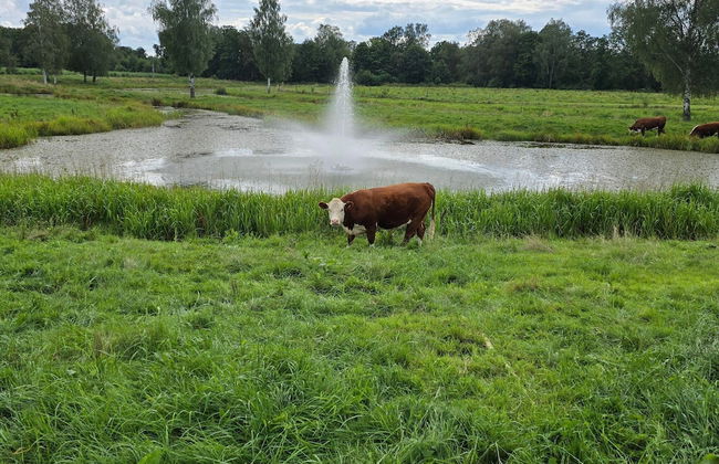 5 Person Holiday Home in Morlunda - Foto 49