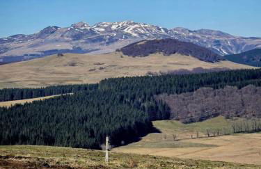 La Roulotte romantique des volcans - Foto 18